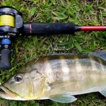 Como Escolher Sua Primeira Vara de Pesca: Um Guia Prático
